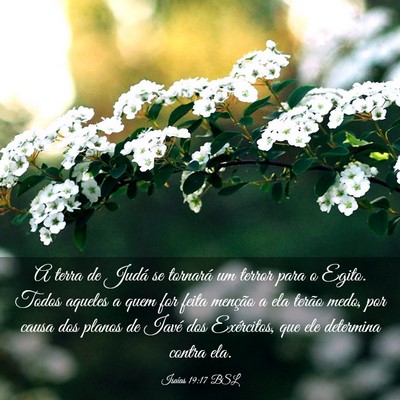 Picture 03 - Isaías 19:17 BSL - A terra de Judá se tornará um terror para o - Bible Verse Picture
