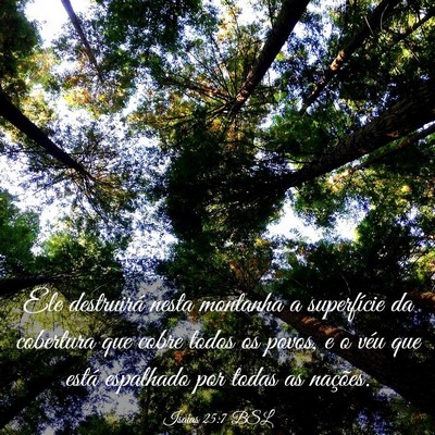 Picture 03 - Isaías 25:7 BSL - Ele destruirá nesta montanha a superfície da - Bible Verse Picture