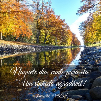 Picture 03 - Isaías 27:2 BSL - Naquele dia, cante para ela: “Um vinhedo - Bible Verse Picture
