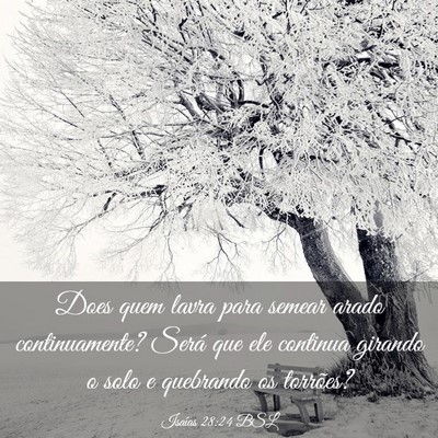 Picture 03 - Isaías 28:24 BSL - Does quem lavra para semear arado continuamente? - Bible Verse Picture