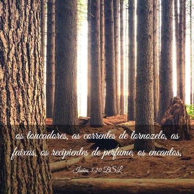 Picture 03 - Isaías 3:20 BSL - os toucadores, as correntes de tornozelo, as - Bible Verse Picture