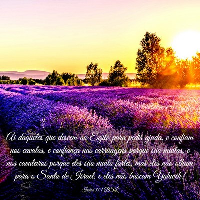 Picture 03 - Isaías 31:1 BSL - Ai daqueles que descem ao Egito para pedir ajuda, - Bible Verse Picture