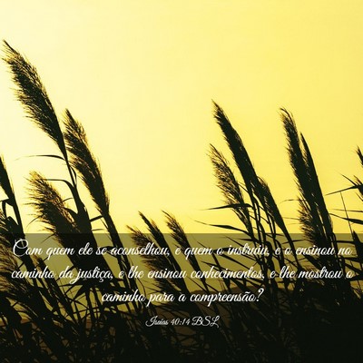 Picture 03 - Isaías 40:14 BSL - Com quem ele se aconselhou, e quem o instruiu, e - Bible Verse Picture