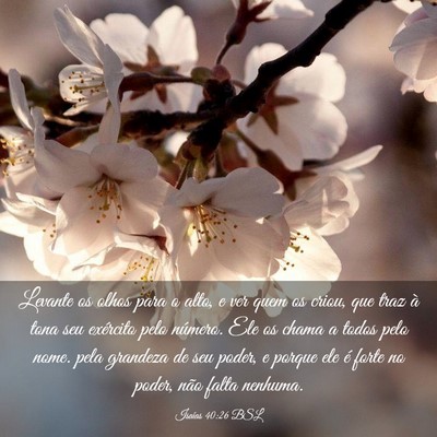 Picture 03 - Isaías 40:26 BSL - Levante os olhos para o alto, e ver quem os - Bible Verse Picture