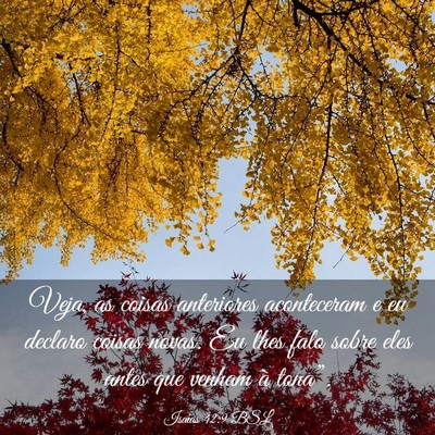 Picture 03 - Isaías 42:9 BSL - Veja, as coisas anteriores aconteceram e eu - Bible Verse Picture
