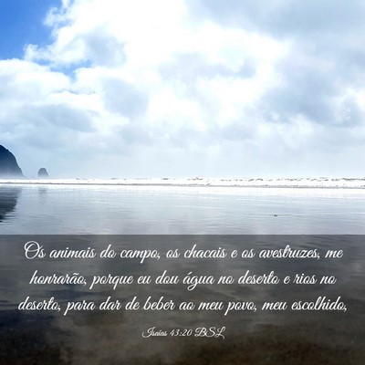 Picture 03 - Isaías 43:20 BSL - Os animais do campo, os chacais e os avestruzes, - Bible Verse Picture