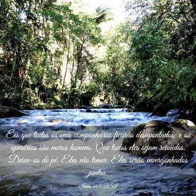 Picture 03 - Isaías 44:11 BSL - Eis que todos os seus companheiros ficarão - Bible Verse Picture
