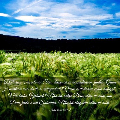 Picture 03 - Isaías 45:21 BSL - Declare e apresente-o. Sim, deixe-os se - Bible Verse Picture