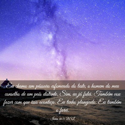 Picture 03 - Isaías 46:11 BSL - Eu chamo um pássaro esfomeado do leste, o homem - Bible Verse Picture