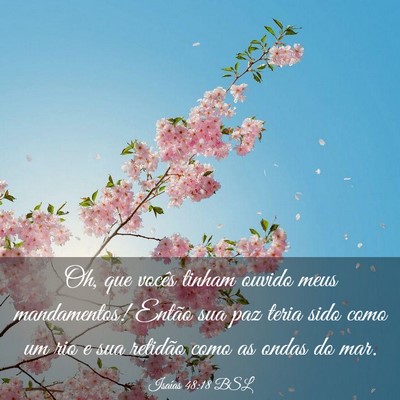 Picture 03 - Isaías 48:18 BSL - Oh, que vocês tinham ouvido meus mandamentos! - Bible Verse Picture