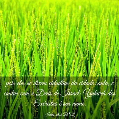 Picture 03 - Isaías 48:2 BSL - pois eles se dizem cidadãos da cidade santa, e - Bible Verse Picture