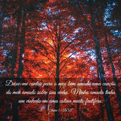 Picture 03 - Isaías 5:1 BSL - Deixe-me cantar para o meu bem amado uma canção - Bible Verse Picture