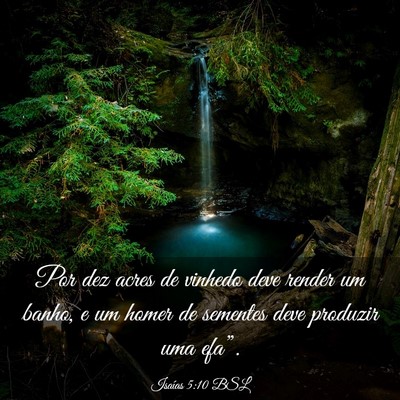 Picture 03 - Isaías 5:10 BSL - Por dez acres de vinhedo deve render um banho, e - Bible Verse Picture