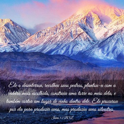 Picture 03 - Isaías 5:2 BSL - Ele o desenterrou, recolheu suas pedras, - Bible Verse Picture