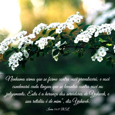 Picture 03 - Isaías 54:17 BSL - Nenhuma arma que se forme contra você - Bible Verse Picture