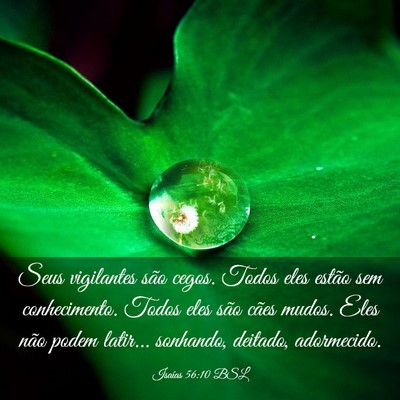 Picture 03 - Isaías 56:10 BSL - Seus vigilantes são cegos. Todos eles estão sem - Bible Verse Picture