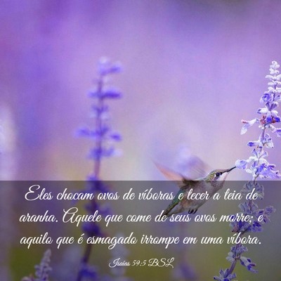 Picture 03 - Isaías 59:5 BSL - Eles chocam ovos de víboras e tecer a teia de - Bible Verse Picture