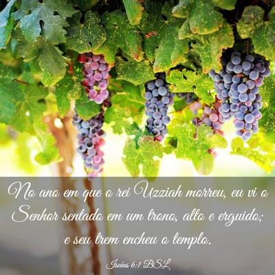 Picture 03 - Isaías 6:1 BSL - No ano em que o rei Uzziah morreu, eu vi o Senhor - Bible Verse Picture