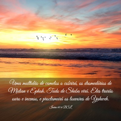 Picture 03 - Isaías 60:6 BSL - Uma multidão de camelos o cobrirá, os - Bible Verse Picture