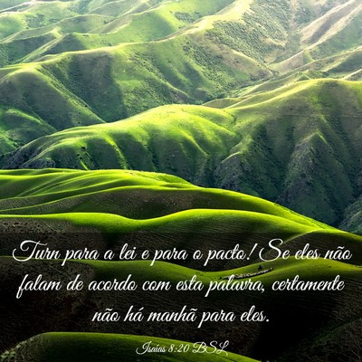 Picture 03 - Isaías 8:20 BSL - Turn para a lei e para o pacto! Se eles não - Bible Verse Picture