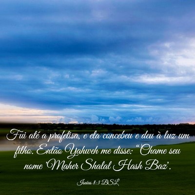 Picture 03 - Isaías 8:3 BSL - Fui até a profetisa, e ela concebeu e deu à luz - Bible Verse Picture