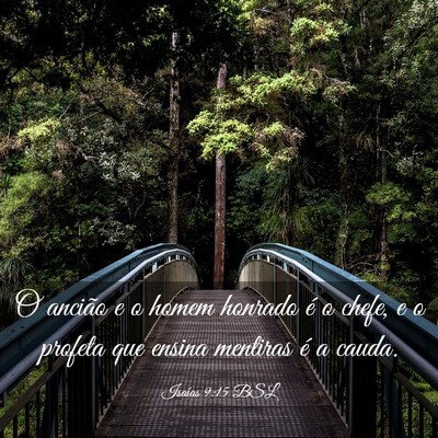 Picture 03 - Isaías 9:15 BSL - O ancião e o homem honrado é o chefe, e o - Bible Verse Picture