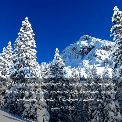 Picture 03 - Jeremias 11:7 BSL - Pois eu protestei sinceramente a seus pais no dia - Bible Verse Picture