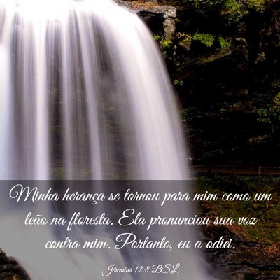 Picture 03 - Jeremias 12:8 BSL - Minha herança se tornou para mim como um leão - Bible Verse Picture