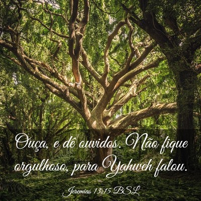 Picture 03 - Jeremias 13:15 BSL - Ouça, e dê ouvidos. Não fique orgulhoso, para - Bible Verse Picture