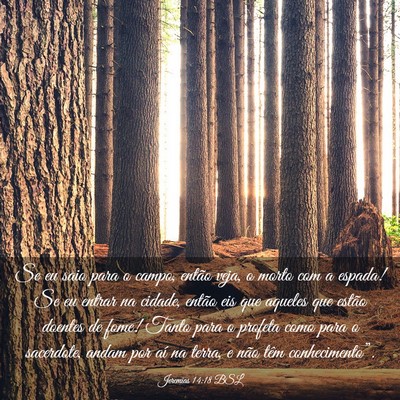 Picture 03 - Jeremias 14:18 BSL - Se eu saio para o campo, então veja, o morto com - Bible Verse Picture