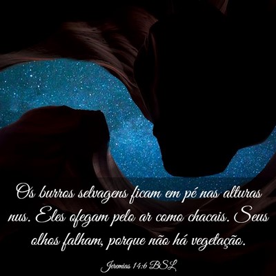 Picture 03 - Jeremias 14:6 BSL - Os burros selvagens ficam em pé nas alturas nus. - Bible Verse Picture