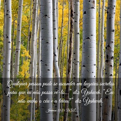 Picture 03 - Jeremias 23:24 BSL - Qualquer pessoa pode se esconder em lugares - Bible Verse Picture