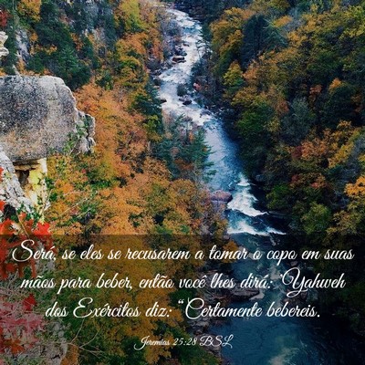 Picture 03 - Jeremias 25:28 BSL - Será, se eles se recusarem a tomar o copo em - Bible Verse Picture