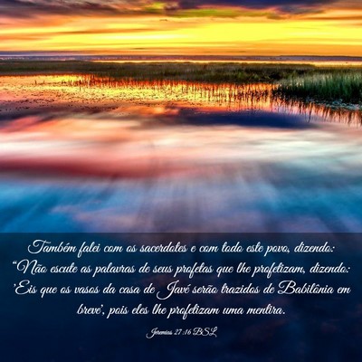 Picture 03 - Jeremias 27:16 BSL - Também falei com os sacerdotes e com todo este - Bible Verse Picture