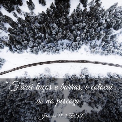 Picture 03 - Jeremias 27:2 BSL - “Fazei laços e barras, e colocai-as no - Bible Verse Picture