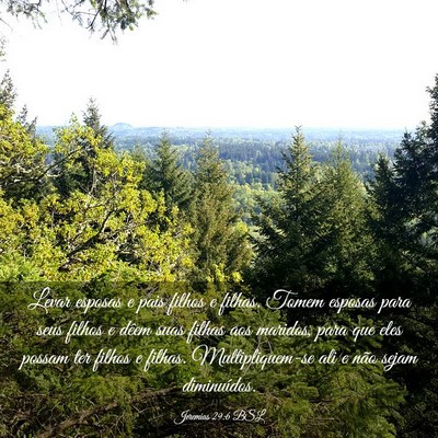 Picture 03 - Jeremias 29:6 BSL - Levar esposas e pais filhos e filhas. Tomem - Bible Verse Picture