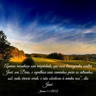 Picture 03 - Jeremias 3:13 BSL - Apenas reconheça sua iniqüidade, que você - Bible Verse Picture