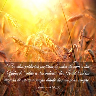 Picture 03 - Jeremias 31:36 BSL - “Se estas portarias partirem de antes de - Bible Verse Picture
