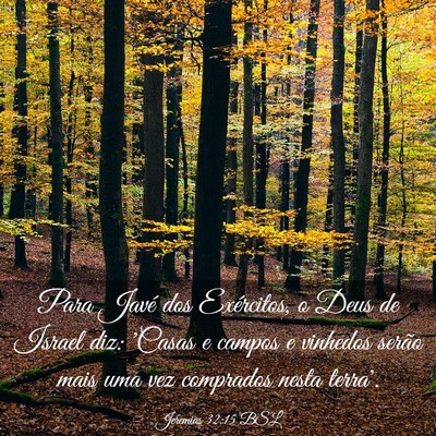 Picture 03 - Jeremias 32:15 BSL - Para Javé dos Exércitos, o Deus de Israel diz: - Bible Verse Picture