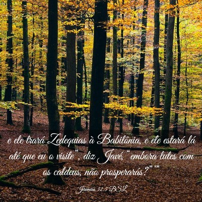 Picture 03 - Jeremias 32:5 BSL - e ele trará Zedequias à Babilônia, e ele - Bible Verse Picture