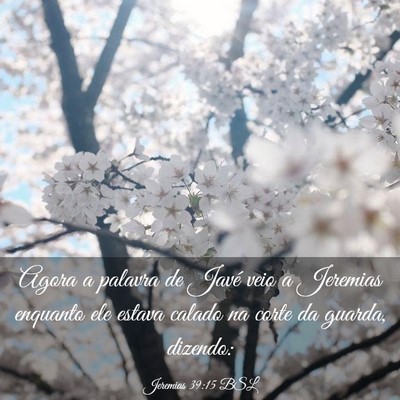 Picture 03 - Jeremias 39:15 BSL - Agora a palavra de Javé veio a Jeremias enquanto - Bible Verse Picture