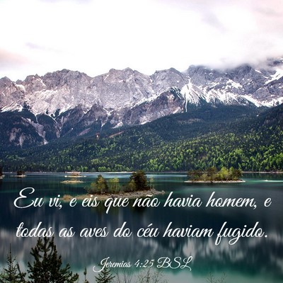 Picture 03 - Jeremias 4:25 BSL - Eu vi, e eis que não havia homem, e todas as - Bible Verse Picture