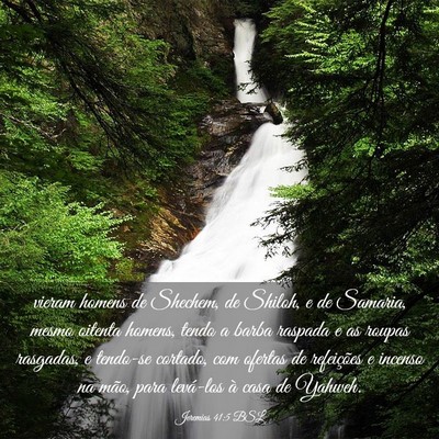 Picture 03 - Jeremias 41:5 BSL - vieram homens de Shechem, de Shiloh, e de - Bible Verse Picture