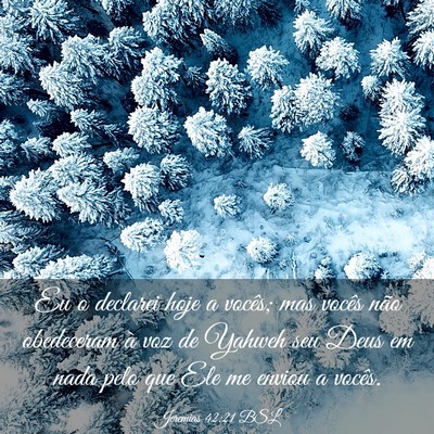 Picture 03 - Jeremias 42:21 BSL - Eu o declarei hoje a vocês; mas vocês não - Bible Verse Picture