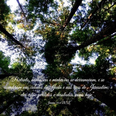 Picture 03 - Jeremias 44:6 BSL - Portanto, minha ira e minha ira se derramaram, e - Bible Verse Picture