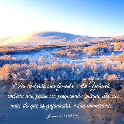 Picture 03 - Jeremias 46:23 BSL - Eles cortarão sua floresta”, diz Yahweh, - Bible Verse Picture