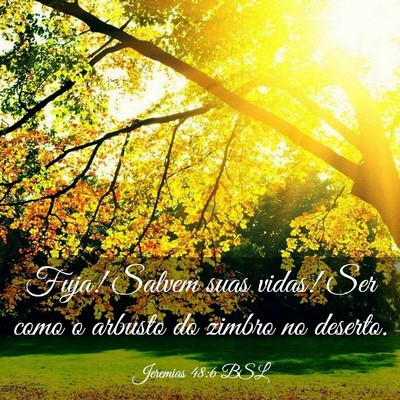 Picture 03 - Jeremias 48:6 BSL - Fuja! Salvem suas vidas! Ser como o arbusto do - Bible Verse Picture