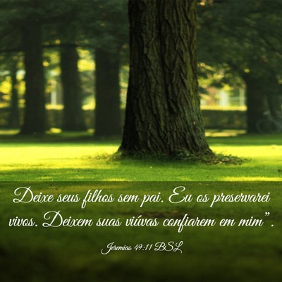 Picture 03 - Jeremias 49:11 BSL - Deixe seus filhos sem pai. Eu os preservarei - Bible Verse Picture