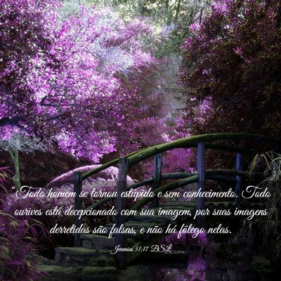 Picture 03 - Jeremias 51:17 BSL - “Todo homem se tornou estúpido e sem - Bible Verse Picture