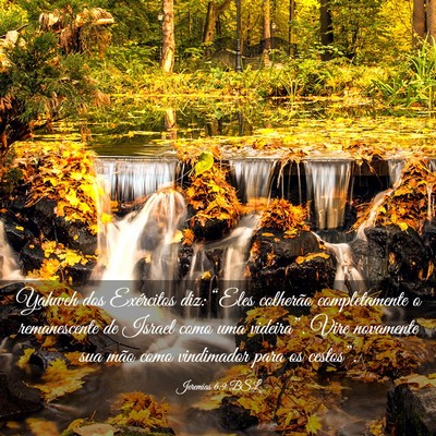 Picture 03 - Jeremias 6:9 BSL - Yahweh dos Exércitos diz: “Eles colherão - Bible Verse Picture